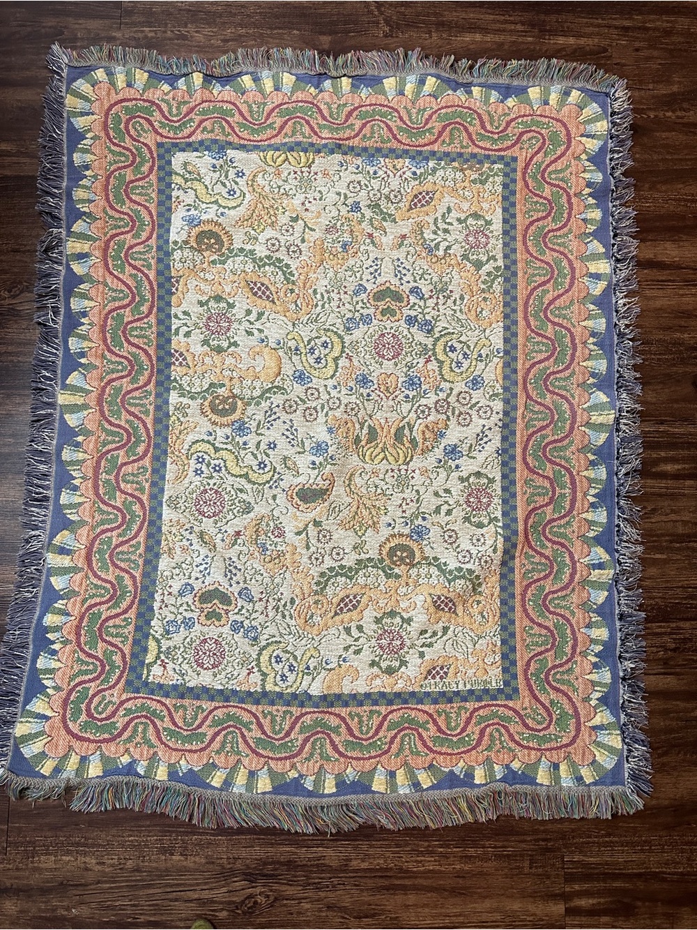 VTG Tracy Porter Throw Blanket Chenille Reversible 90’s Cottagecore Fringe